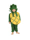 BookMyCostume Pineapple Fruit Kids Fancy Dress Costume